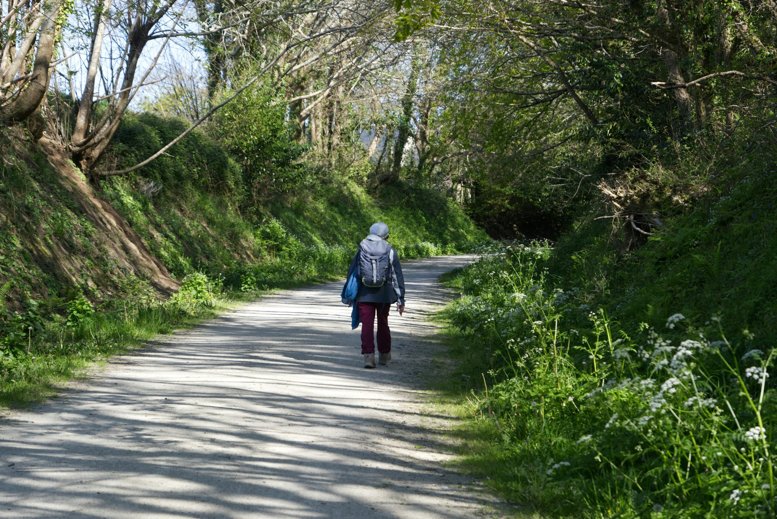 Personne marchant lentement sur un chemin dans un environnement calme
